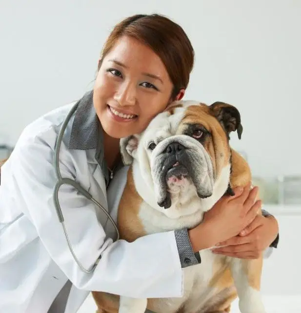 Female vet with a dog.