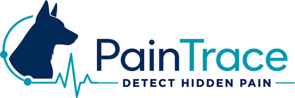PainTrace Logo